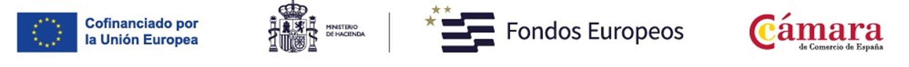 VPQ_50_Aniversario_Logo_Horizontal_Azul_Español