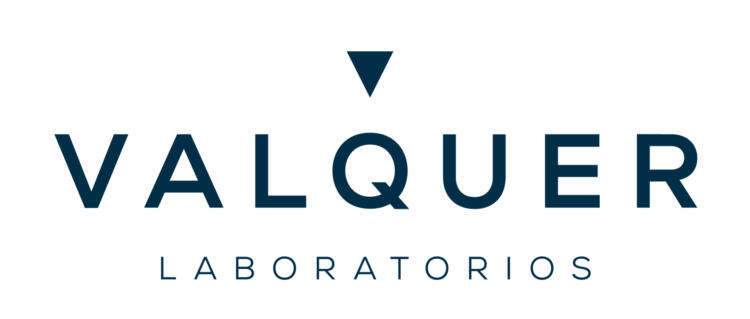 Logo-Valquer