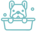 mascotas mascotas